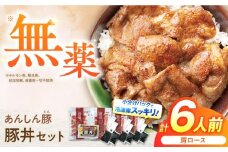 豚丼 セット / 藤井ファーム [AWAF003] 豚肉 豚丼 ぶたどん 豚どん 冷凍 レトルト 豚丼の具 国産 レンジ 惣菜