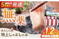 国産豚肉 あんしん豚 ２種食べ比べ 特上しゃぶしゃぶセット（ロース・肩ロース）合計１．２キログラム｜安心安全 飼育環境に配慮 岐阜県白川町 藤井ファーム [AWAF001]
