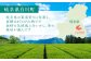 岐阜県白川町の紹介。美しいお茶畑の風景と、岐阜県内での白川町の位置を示す地図。