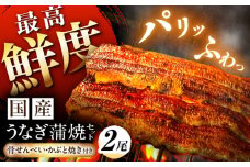 【備長炭】 国産 うなぎの蒲焼 2尾セット 鰻 ウナギ タレ付き 白川町 / 多幸八 [AWBL002] うなぎ 蒲焼 国産