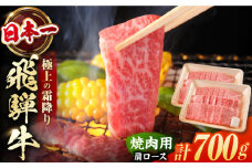 飛騨牛 焼肉用　肩ロース　700g（350g×2）/ 焼肉 牛肉 和牛 飛騨牛 肩ロース 焼肉 小分け 岐阜県  / 白川町 / 浅井商店 [AWBJ002]