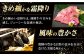 焼肉 牛肉 和牛 飛騨牛 岐阜県 モモ 白川町 ロース