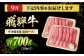 定期便 特選 飛騨牛 肩ロース リブロースステーキ しゃぶしゃぶ 焼肉 すき焼き 牛肉 飛騨牛 和牛 白川町