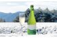 煎茶コンブチャ　fog-sencha オリジナルコンブチャ お茶 発酵飲料 腸活 白川町