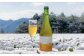 ほうじ茶コンブチャ fog-hojicha オリジナルコンブチャ お茶 発酵飲料 腸活 白川町