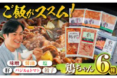 黒川の鶏ちゃん 食べ比べセット 6種 鶏肉 味噌 醤油 下味 餃子 白川町 / 旨々工房黒川 [AWBF002]