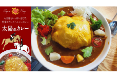 太陽のカレー 200g（1人前）×5個 / カレー 冷凍カレー 本格的 スパイシーカレー / 白川町 / ガラパゴスカフェ [AWBN001]