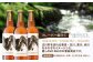 岐阜県白川町の川をテーマにした農LAND BEERのクラフトビール。定番の看板商品紹介。