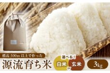 源流育ち お山のお米 3kg 白米 玄米 選べる 国産 岐阜 白川町 / Sunpo [AWBC006]