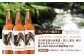 クラフトビール 詰め合わせBOX 飲み比べセット 酒 アルコール ビール セット 詰め合わせ クラフトビール ビール 飲み比べ