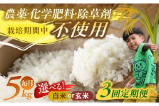 【3回定期便】源流育ち お山のお米 5kg 白米 玄米 選べる 国産 岐阜 白川町 / Sunpo [AWBC013]