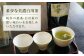 香る 煎茶フレーバー ティーバッグ セット お茶 国産 岐阜 白川町