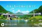 定期便 香る 煎茶フレーバー ティーバッグ セット お茶 国産 岐阜 白川町