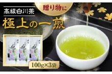 本格 高級茶セット 100g×3袋 化粧箱入り お茶 煎茶 白川茶 茶葉 ギフト 白川町 / 菊之園 [AWAG008]