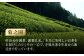 本格 高級茶セット 化粧箱入り お茶 煎茶 白川茶 茶葉 ギフト 白川町