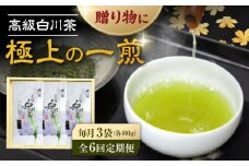 【6回定期便】本格 高級茶セット 100g×3袋 化粧箱入り お茶 煎茶 白川茶 茶葉 ギフト 白川町 / 菊之園 [AWAG010]