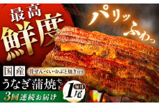 【3回定期便】【備長炭】 国産 うなぎの蒲焼 1尾セット 鰻 ウナギ タレ付き 白川町 / 多幸八 [AWBL007]