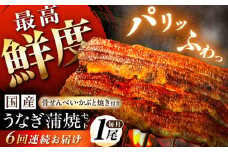 【6回定期便】【備長炭】 国産 うなぎの蒲焼 1尾セット 鰻 ウナギ タレ付き 白川町 / 多幸八 [AWBL008]