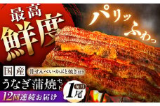 【12回定期便】【備長炭】 国産 うなぎの蒲焼 1尾セット 鰻 ウナギ タレ付き 白川町 / 多幸八 [AWBL009]
