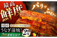 【3回定期便】【備長炭】 国産 うなぎの蒲焼 2尾セット 鰻 ウナギ タレ付き 白川町 / 多幸八 [AWBL010]