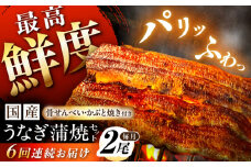 【6回定期便】【備長炭】 国産 うなぎの蒲焼 2尾セット 鰻 ウナギ タレ付き 白川町 / 多幸八 [AWBL011]