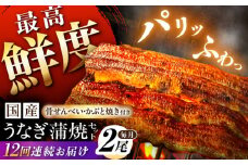 【12回定期便】【備長炭】 国産 うなぎの蒲焼 2尾セット 鰻 ウナギ タレ付き 白川町 / 多幸八 [AWBL012]