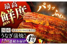 【12回定期便】【備長炭】 国産 うなぎの蒲焼 4尾セット 鰻 ウナギ タレ付き 白川町 / 多幸八 [AWBL015]