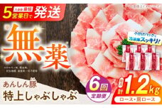 【6回定期便】あんしん豚 特上しゃぶしゃぶセット 豚肉 ロース 国産 白川町 / 藤井ファーム [AWAF011]