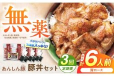 【3回定期便】豚丼セット 豚肉 肩ロース 国産 白川町 / 藤井ファーム [AWAF013]