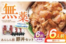 【6回定期便】豚丼セット 豚肉 肩ロース 国産 白川町 / 藤井ファーム [AWAF014]