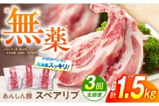 【3回定期便】あんしん豚 スペアリブ 1.5kg 豚肉 小分け 国産 白川町 / 藤井ファーム [AWAF016]