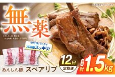 【12回定期便】あんしん豚 スペアリブ 1.5kg 豚肉 小分け 国産 白川町 / 藤井ファーム [AWAF018]