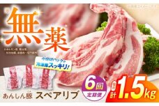 【6回定期便】あんしん豚 スペアリブ 1.5kg 豚肉 小分け 国産 白川町 / 藤井ファーム [AWAF017]