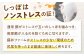6回 定期便 あんしん豚 ブロックセット 約1.8kg 豚肉 ロース モモ カタ 国産 白川町
