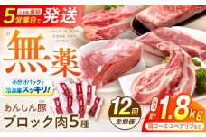 【12回定期便】あんしん豚 ブロックセット 約1.8kg 豚肉 ロース モモ カタ 国産 白川町 / 藤井ファーム [AWAF027]