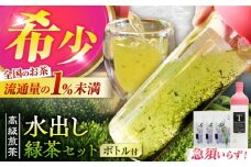 高級煎茶「白川の誉」（100g×3袋）＆フィルターインボトル（750ml）水出し緑茶セット お茶 白川茶 水出しボトル 白川町 / 菊之園 [AWAG014]