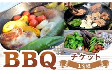オーガニックバーベキュー 1名様 チケット アウトドア バーベキュー BBQ 体験 岐阜 白川町 / Sunpo [AWBC020]