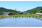 お米 米 玄米 ご飯 10kg 国産 岐阜県産 白川