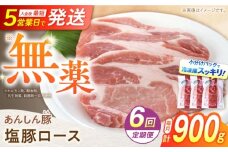 【6回定期便】《金賞受賞》 塩豚ロース 900g 計5.4kg 豚肉 小分け 薄切り ロース 白川町 / 藤井ファーム [AWAF055]