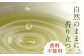 お茶 ペットボトル ケース 24 しらかわ しらかわちゃ 500 こだわり緑茶 おみやげ お土産 まとめ買い 災害 備蓄 防災