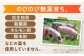 のびのび無薬育ちのあんしん豚。抗生物質やホルモン剤を使わず、草原で健康に育つ豚たち。