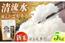＜令和7年度産 新米＞ コシヒカリ 5kg 米 白米 国産 新米 岐阜 白川町 / 健康農園 [AWBW001]