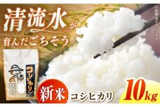 ＜令和7年度産 新米＞ コシヒカリ 10kg 米 白米 国産 新米 岐阜 白川町 / 健康農園 [AWBW002]