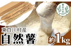 東白川村の自然薯 1kg じねんじょ 山芋 とろろ 自然薯 15000円