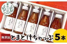 無添加 桃太郎トマトの トマトケチャップ 5本セット トマト 野菜 ケチャップ 調味料 ソース パスタ 10500円