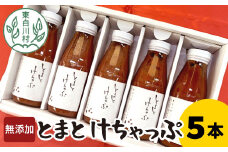 無添加 桃太郎トマトの トマトケチャップ 5本セット トマト 野菜 ケチャップ 調味料 ソース パスタ 10500円