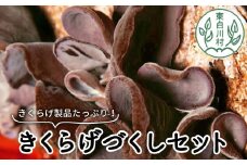 杜のきくらげづくしセット 国産 東白川村産 食物繊維 生きくらげ きくらげ 白きくらげ 白いきくらげ キクラゲ 木耳 佃煮 きくらげパウダー 18000円