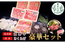 最高級飛騨牛のサーロインと国産きくらげ豪華セット 飛騨牛 サーロインステーキ 飛騨旨豚 ロース 杜のきくらげ きくらげ しゃぶしゃぶ サーロイン 白いきくらげ すき焼き 62000円