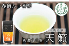 香り高い高級煎茶 「天籟-てんらい-」 80g 茶蔵園 日本茶 緑茶 煎茶 お茶 一番茶 春摘み 浅煎り 6000円