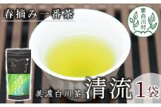 香りと味の調和 特選煎茶「清流-せいりゅう-」お試し1袋 80g 茶蔵園 緑茶 日本茶 煎茶 茶葉 お茶 4000円